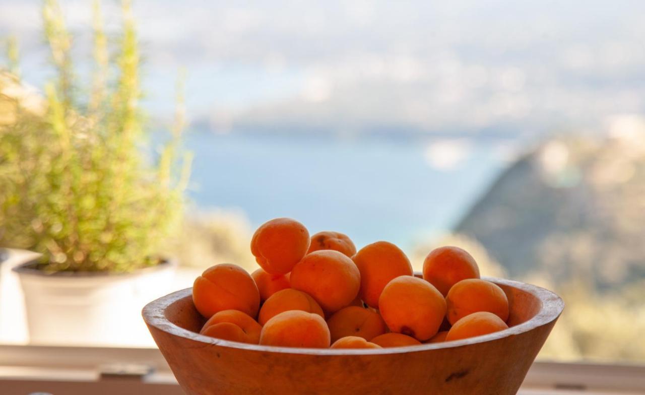 Lorantina Sea View Holiday House In Corfu - Near Barbati Beach Spartylas Exteriör bild